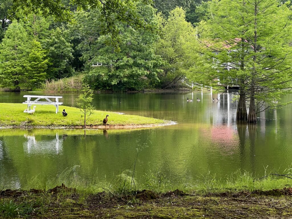 A big lake in West Tennessee